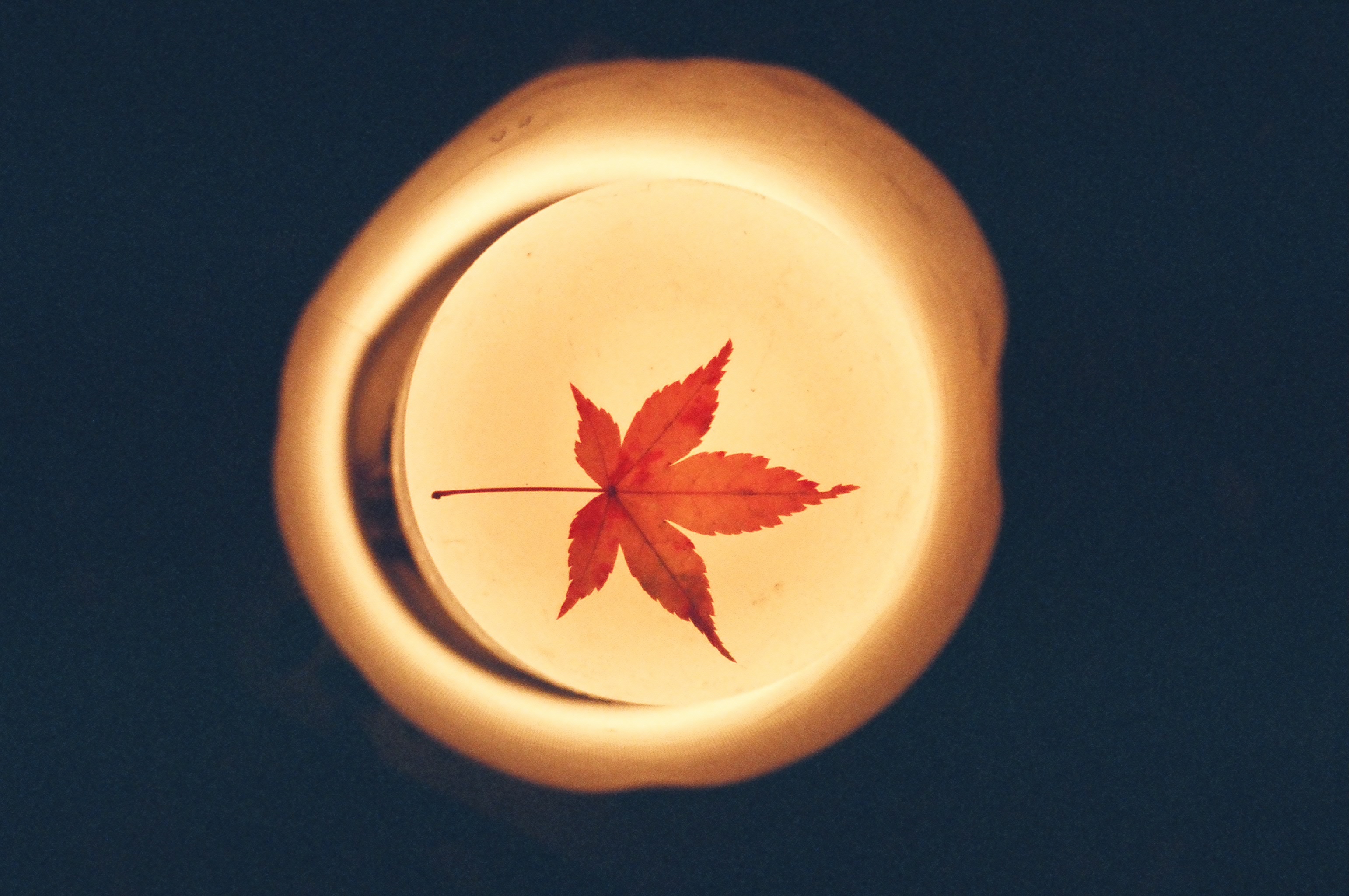 Copy, Content, Creative, and Consulting